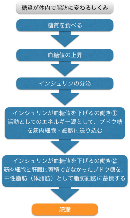 肥満のメカニズム