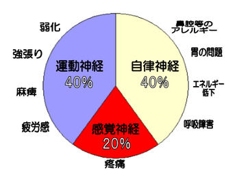 神経線維分布