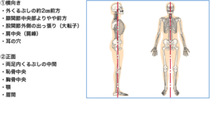 理想的な姿勢画像